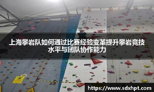 上海攀岩队如何通过比赛经验变革提升攀岩竞技水平与团队协作能力